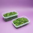 ظروف نگهدارنده مدل extra بسته 25 عددی