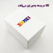 ساعت مچی عقربه ای زنانه اسکمی مدل 2181
