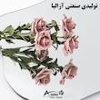 آینه دیواری آزالیا مدل دفرمه بک لایت کپسولی DFM2BC