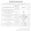 اکتان بوستر خودرو بنزینی کستل مدل اکتانیوم حجم 400 میلی لیتر بسته 16 عددی