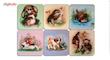 زیرلیوانی ژیوار طرح cute Animal Painting مجموعه 6 عددی