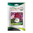 بذر گل ستاره ای پابلند پرگل الوان گلبرگ پامچال کد GPF-054