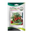 بذر گوجه چری پا کوتاه پربار قرمز گلدانی گلبرگ پامچال کد GPF-299