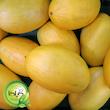 بذر خربزه کاناری گیلدا کد 753