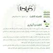 بذر کاسنی گیلدا کد 161