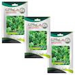  بذر شاهی برگ ریز گلبرگ پامچال کد GPF-153 مجموعه 3 عددی
