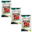 بذر گوجه گیلاسی گلبرگ پامچال کد GPF-207 مجموعه 3 عددی