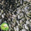 بذر کدو مغزی پوست کاغذی گیلدا کد 775