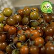 بذر گوجه نخودی مشکی گیلدا کد 583