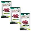 بذر پیاز قرمز گلبرگ پامچال کد GPF-106 مجموعه 3 عددی