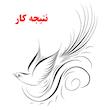 شابلون کد SP297-1