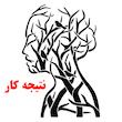 شابلون کد SP9712