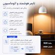 محافظ ولتاژ جریان آر ام شیبی مدل RMGF2L-100A