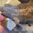 چسب کاشی و سرامیک لکسوو مدل Stoner حجم 700 میلی لیتر