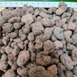 پوکه لیکا درشت آگنس مدل Ag-Lecapon 3L حجم 3 لیتر