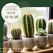   کود NPK 12-12-36 آگنس مدل Ag121236 وزن 150گرم