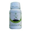 کود مایع پتوس گرین پیک مدل Pothos حجم ۲۵۰ میلی لیتر
