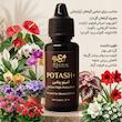 کود مایع آمینو پتاس اس جابز مدل POTASH+ حجم ۳۰ میلی‌لیتر