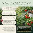 کود مایع کلسیمی اس جابز مدل کلسیم پلاس حجم ۳۰ میلی‌لیتر