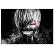 تابلو شاسی طرح انیمه مدل Tokyo Ghoul کد 902