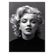 تابلو شاسی طرح مرلین مونرو مدل Artist Marilyn Monroe 0079