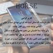 محافظ لنز دوربین فلزی هورس مدل RINH20 مناسب برای گوشی موبایل شیائومی Redmi 15    