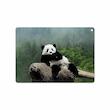 برچسب پوششی ماهوت مدل Panda مناسب برای تبلت اپل iPad Air 2 2014 A1567