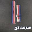 بند پنتر مدل ColorFull-a مناسب برای ساعت هوشمند 22 میلی متری سامسونگ Galaxy Watch 3 45mm 