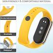 بند مسیر مدل SilBelt PMMA مناسب برای ساعت هوشمند شیائومی Mi Band 9 به همراه محافظ صفحه نمایش