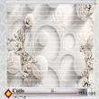 پرده زبرا مدل 3D1008 سایز 150x150 سانتی متر