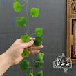 گل مصنوعی جُرجُرگل مدل ریسه برگ نخی انگور لمسی بسته دو عددی
