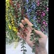 گل مصنوعی مدل آویز شمشاد NYSSA16