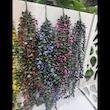 گل مصنوعی مدل آویز شمشاد NYSSA16