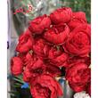 دسته گل مصنوعی مدل گل پیونی 7 عددی nyssa