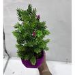 گلدان به همراه درختچه مصنوعی مدل کریسمس مینیاتوری nardon