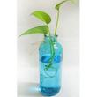 گلدان دکوری شیشه‌ای طرح کلاسیک بطری، ابعاد 7×7×19 سانتی‌متر، وزن 250 گرم، مناسب تراریوم و گیاهان طبیعی، رنگ‌های جذاب، قابلیت ریختن آب