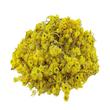 دمنوش افسنطین سالی پک - 150 گرم