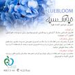اسپری خوشبو کننده هوا نیو لاک سیل مدل Blue Bloom حجم 400 میلی‌لیتر