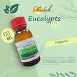 محلول بخور فدک تانیش مدل Eucalyptus60 حجم 60 میلی لیتر مجموعه 24 عددی