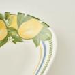 ظرف سرو‌ بلامیسون مدل Lemoncello