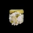 گیفت مدل شمع طرح بطری بسته ۶ عددی