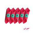 گیفت طرح تزئین پول عید نوروز مدل G-303 بسته 5 عددی