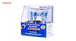 لامپ خودرو ایگل مدل H7 12V 100 W Plasma Xenon Deep Blue بسته 2 عددی