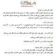 بذر بادمجان دلمه ای جی پی سید مدل GP3239