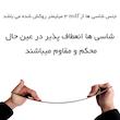   تخته شاسی مستر راد مدل سگهای نگهبان  کد fiory 2408 سایز A5 به همراه کاغذ یادداشت