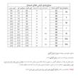 هودی زنانه مدل IAN_464235