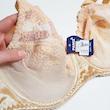 سوتین زنانه پانیذ مدل فنردار لبه گیپوری کد 44402