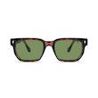 عینک آفتابی ویفرر (Wayfarer) آلبرت وگ مدل SZ8107 Tortoise Fern