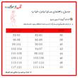 لباس خواب زنانه آنی لوکس مدل رونیکا طرح سیمرغ کد 66602L به همراه اسکرانچی مو