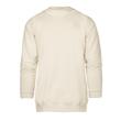 سویشرت مردانه مدل SB-SS-2139